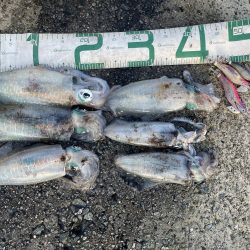 2025 佐渡ヶ島エギング Vol.18【9月26日】